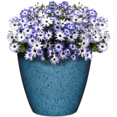 Product image of Classic Home and Garden Vogue Premiere Planter