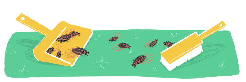 Illustration of dust pan with small brush cleaning up deceased cicadas from the ground