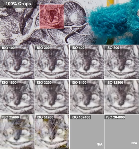 A comparison of 100% crops taken of a still life by the Samsung NX1.