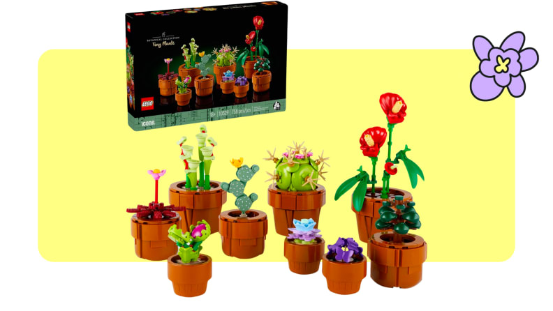 An assorted set LEGO of potted flowers in various sizes in front of a LEGO cardboard box.