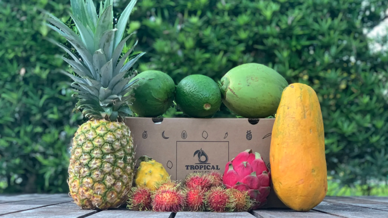 Tropical Fruit Box