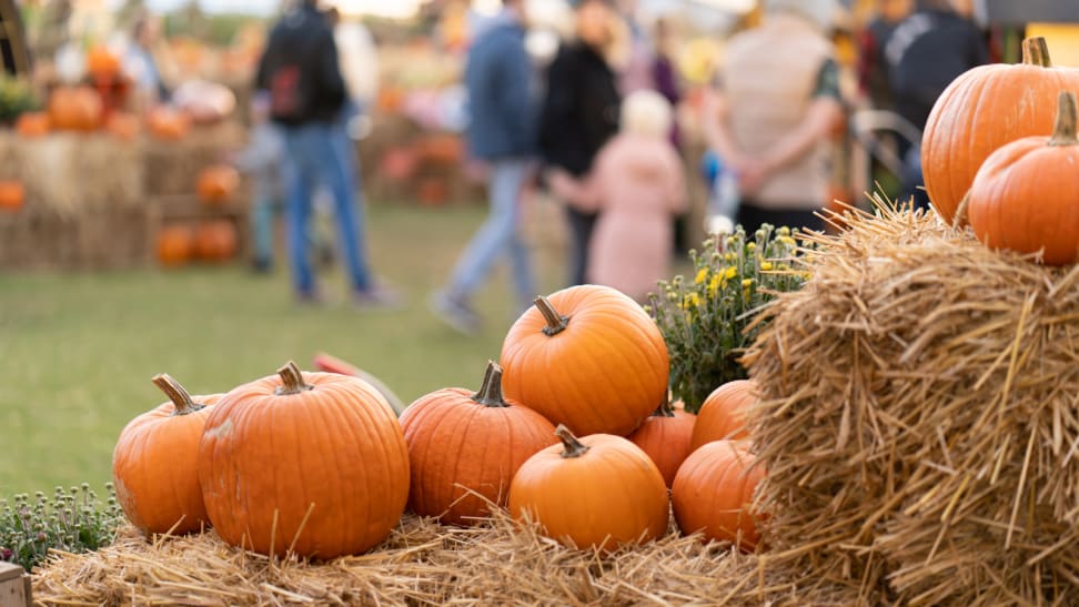 Pumpkins on straw bales against the background of people at an agricultural fair