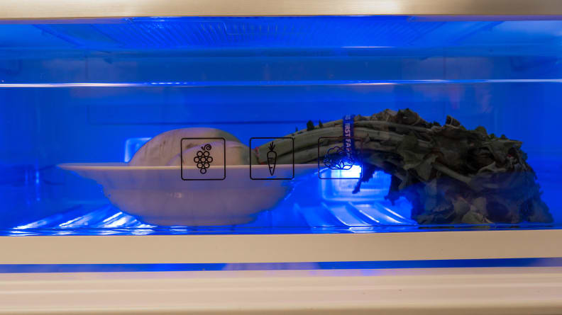 A turnip sits in a bowl in the electric blue LED glow of the crisper drawer.