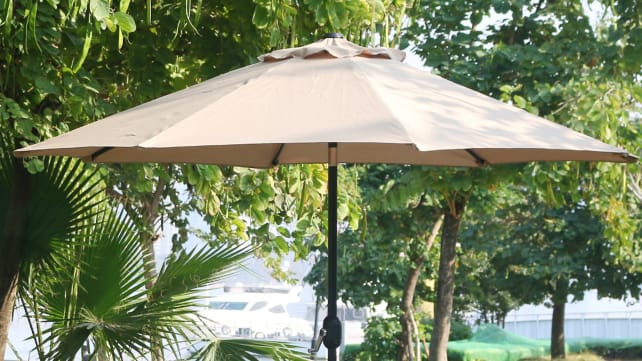 umbrella