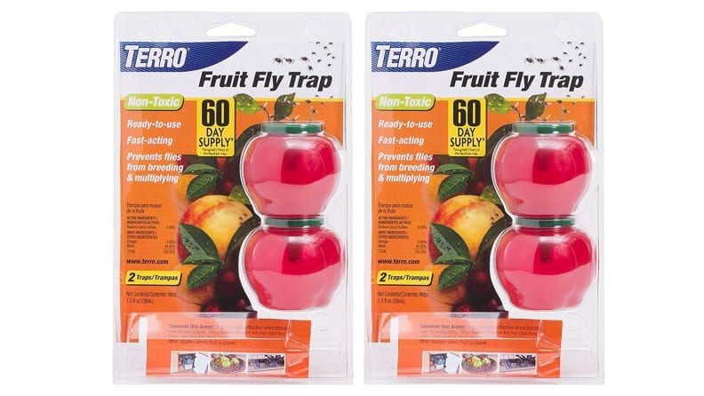 How To Get Rid Of Fruit Flies – Forbes Home