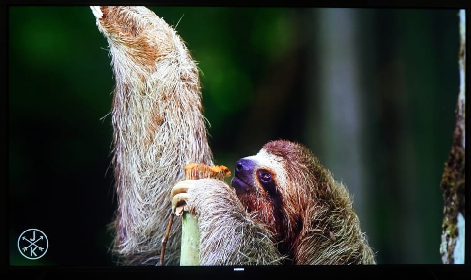 Samsung-KS8000-4K-Sloth