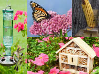 10 products that will help attract wildlife to your own backyard