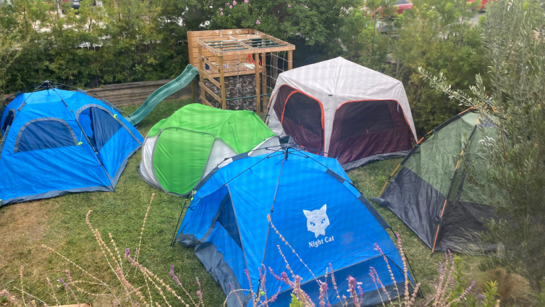 A series of tents in a back yard