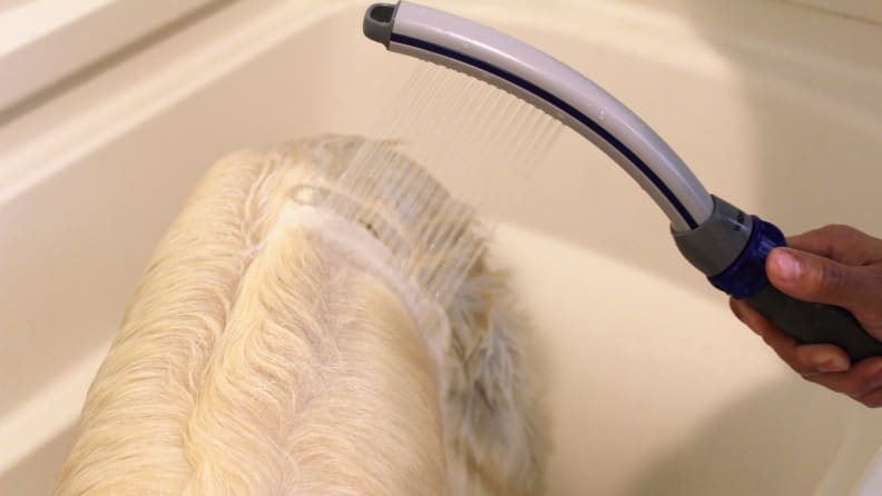 The Waterpik Pet Wand Pro is designed to help wash your dog.