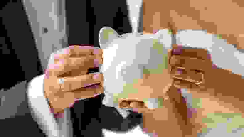 A groom and a bride holding a piggy bank.