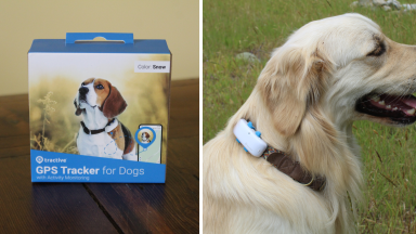 Tractive GPS and dog wearing the tracking device attachment on collar