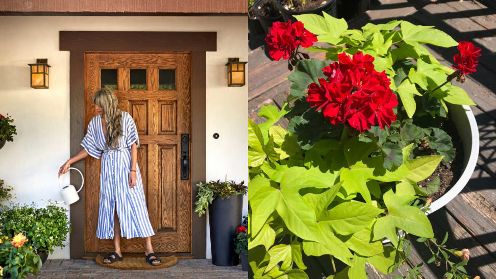 A woman watering outdoor plants and red flowers.