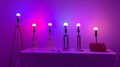 LED smart bulbs are lined up against a purple and pink wall.