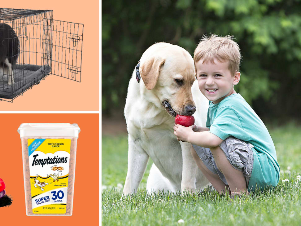 Petsmart canidae 2025