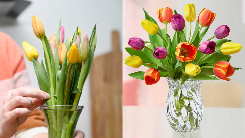 Tulips standing vertically next to tulips bloomed and spread wide