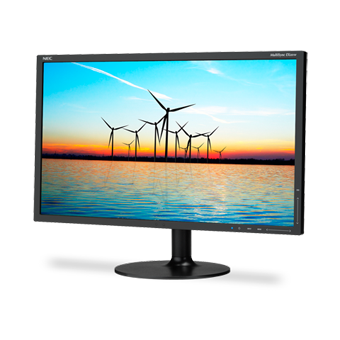 Product Image - NEC EX201W