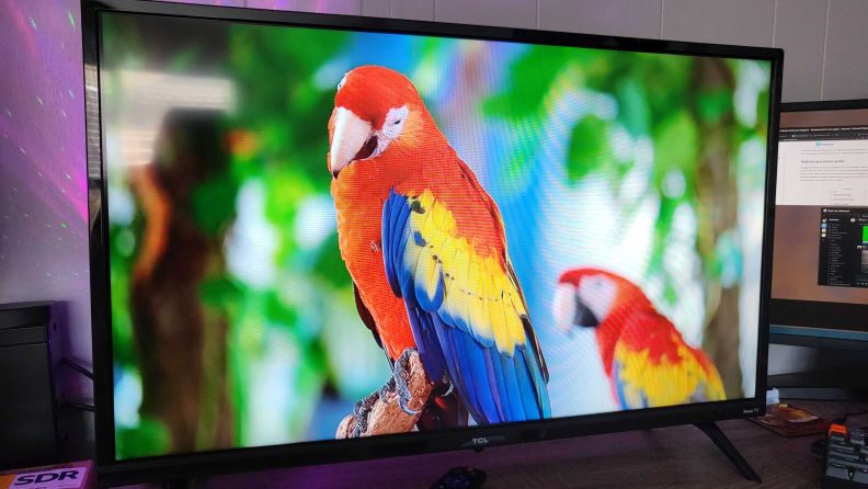 The 32-inch version of the 2021 TCL 3-Series displaying 1080p content in a dimly lit living room