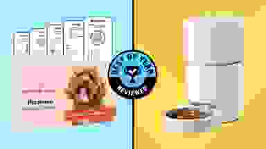 Side-by-side image of the Wisdom Panel Premium dog DNA kit and the Petlibro Space Automatic Pet Feeder with pet food in it.
