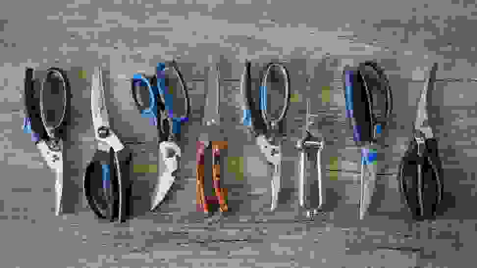 Eight sets of poultry shears on wooden surface