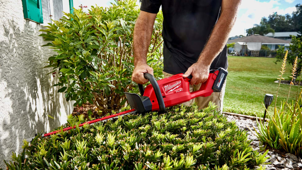 40-Volt Cordless Hedge Trimmer (Battery Not Included)