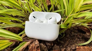 An image of the Apple AirPods Pro in a case on grass.