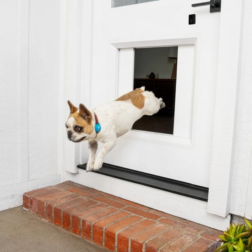 MyQ Pet Portal, la puerta inteligente para mascotas
