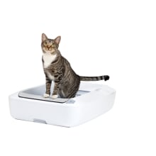 Product image of ScoopFree® Crystal Plus Self-Cleaning Litter Box 