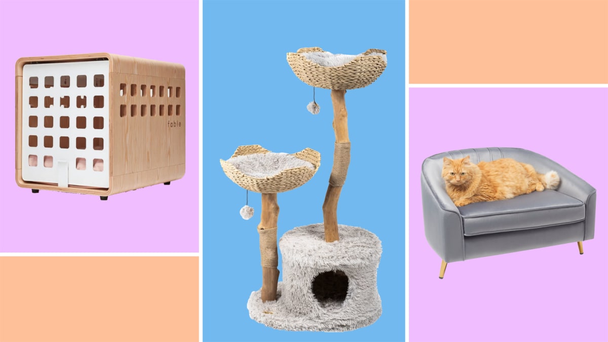 Pet Furniture: Stylish options for design-forward pet owners