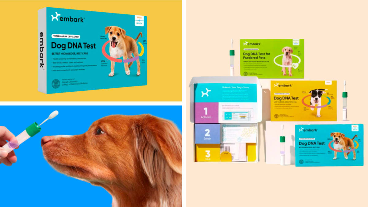 Dog dna test shop at vet cost