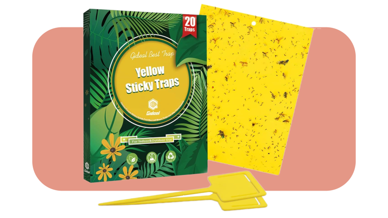 Product shot of the Gideal Dual-sided Yellow Sticky Traps next to box packaging  in front of pink background.