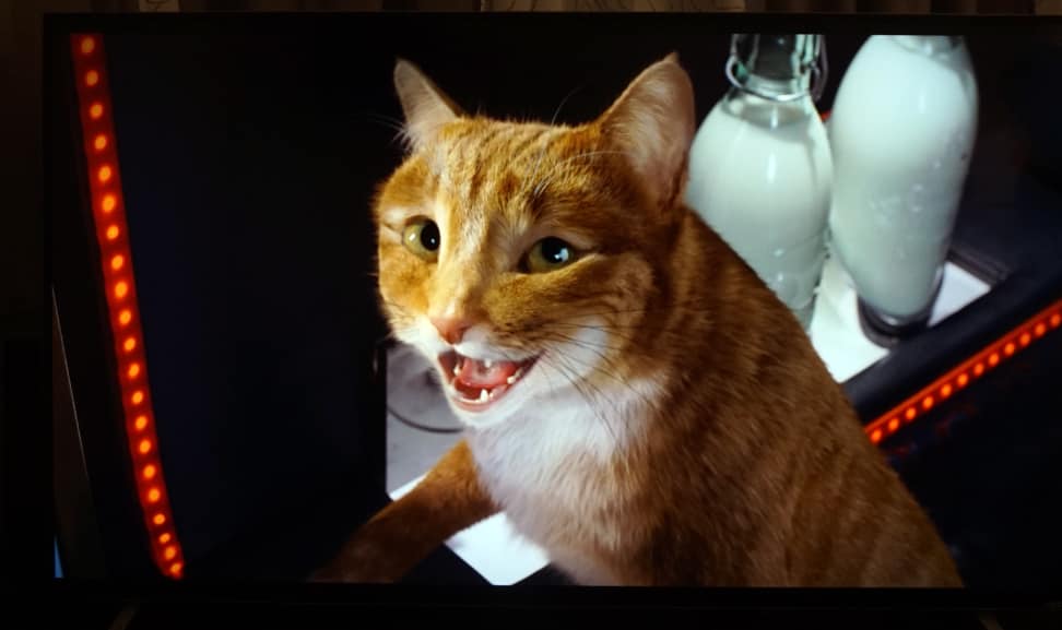 Vizio-M65C1-Native-4K