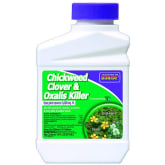 Product image of Bonide Chickweed, Clover & Oxalis Weed Killer Concentrate