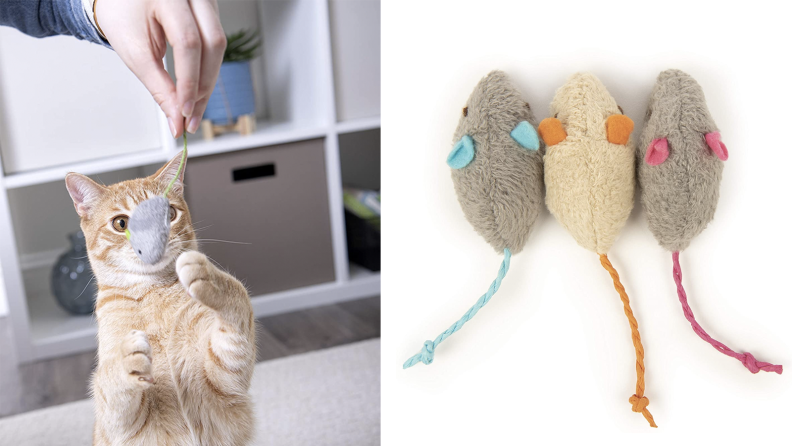 一只猫用三只熟练的老鼠玩具中的一个玩耍