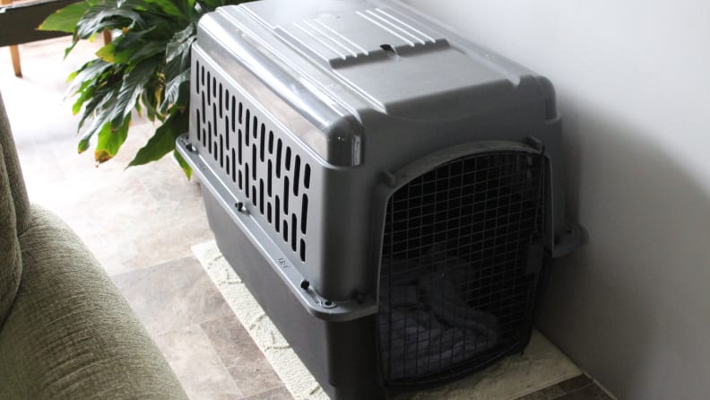 Aspen Pet Porter Crate