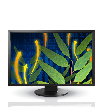 Product Image - Eizo Ev2436W