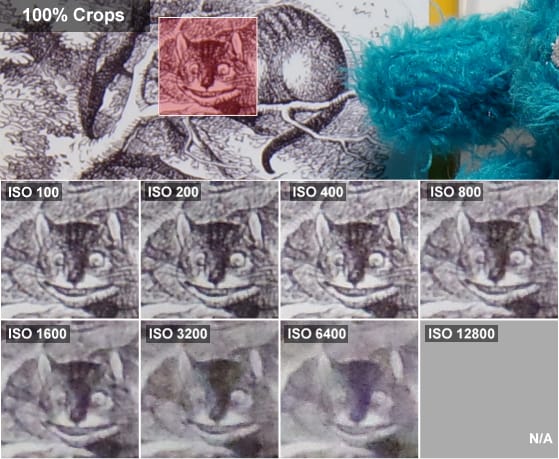 Q10CatCrops.jpg