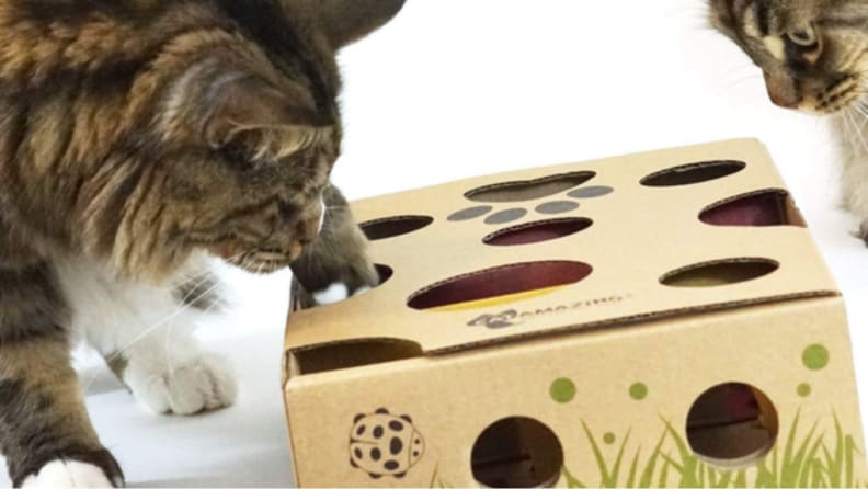 An image of a cat poking its paw through holes in a puzzle box.