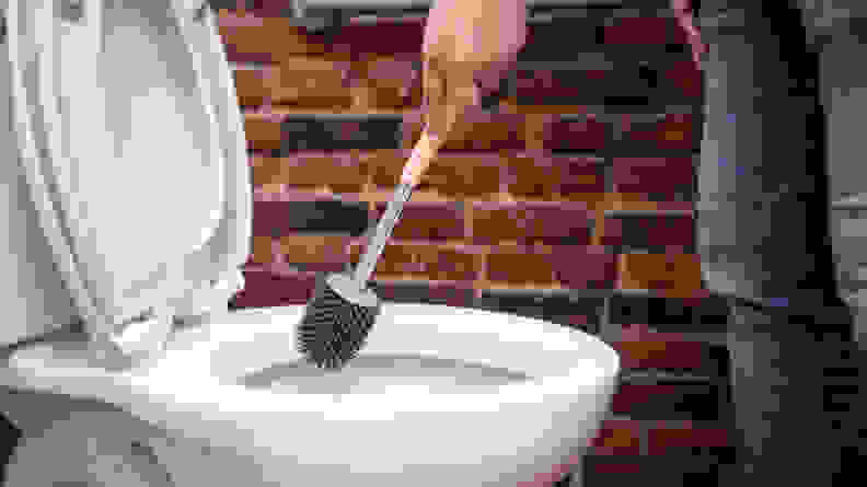 A person cleans a toilet with a toilet brush
