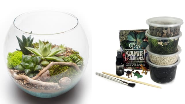 Cute Farms Terrarium Starter Kit