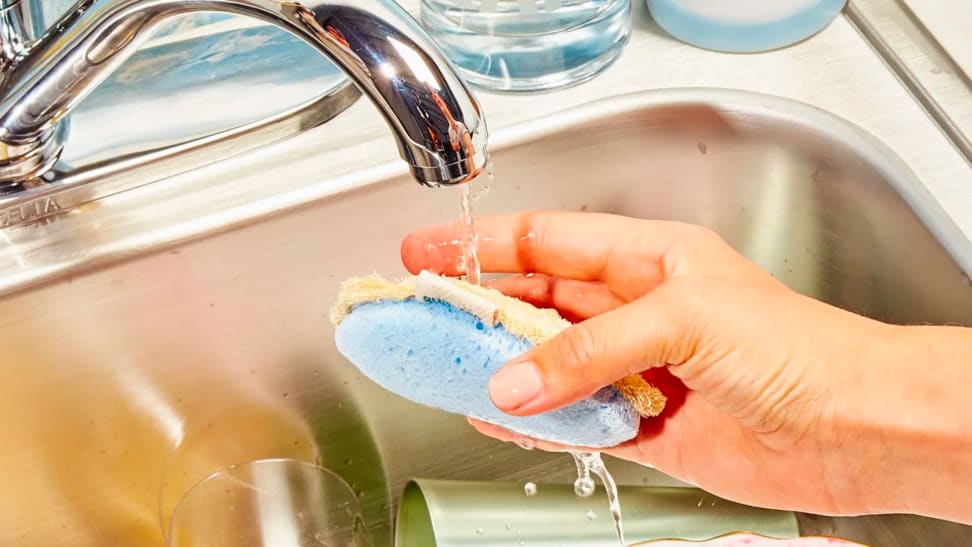 A person moistens a natural sponge before scrubbing dishes.