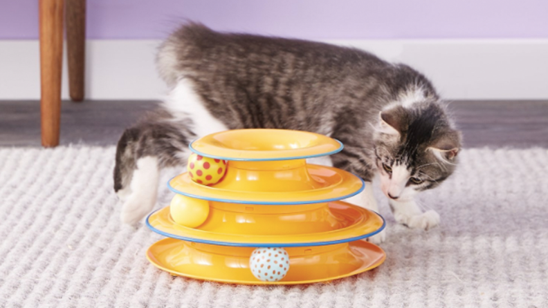 Cat plays with a multi tier toy