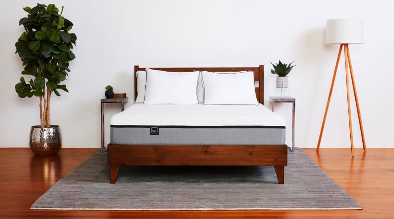 Lull mattress on a simple bed frame surrounded by a tree and a lamp