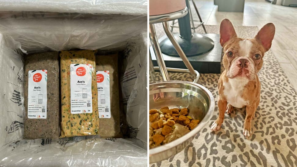 The Farmer's Dog fresh dog food packaging and a French Bulldog