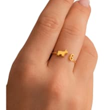 Product image of Personalized Pet Ring