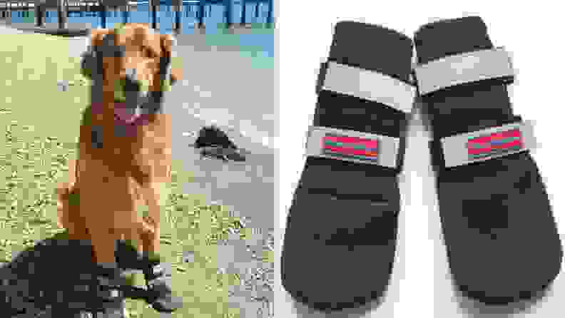 Bark Brite Dog Shoes