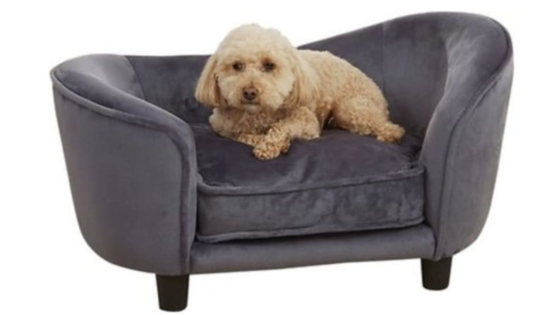a dog curls up on a mini sofa