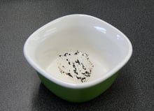 Electrolux EI24ID30QS—Burnt Sugar After Heavy Cycle