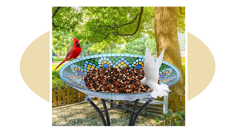 Product shot of the Mumtop Glass Bird Bath that is peacock-themed.