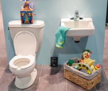 Pee Wee Collection Still Life