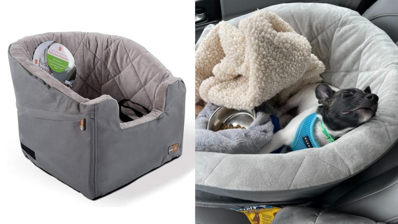 Pup Carseat